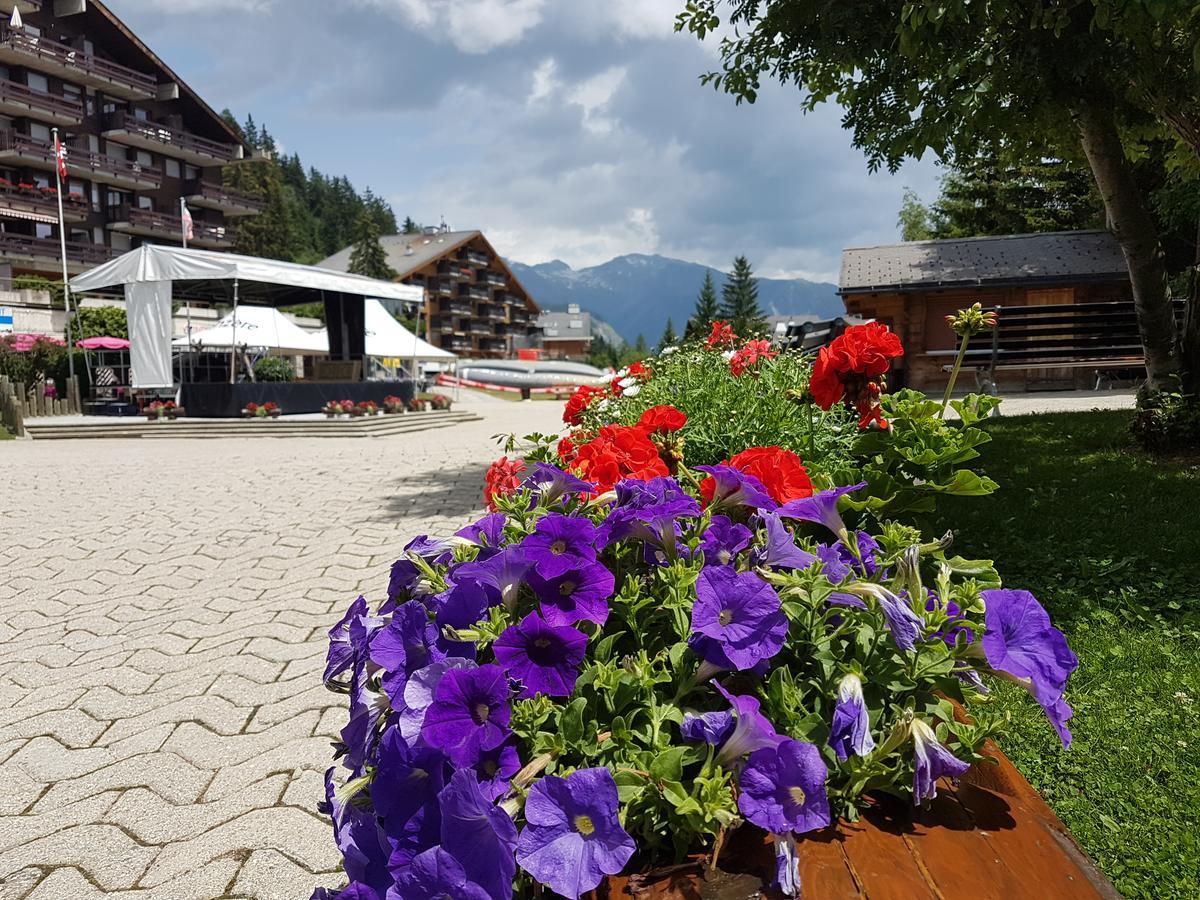 Holidays Groupes Anzere ภายนอก รูปภาพ